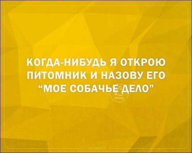 Смешные «Аткрытки» прикол, своими руками, юмор