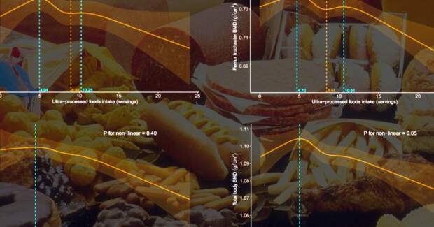 Учёные связали частое употребление ультраобработанной пищи с падением плотности костей