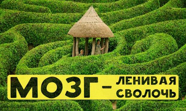 Мозг — ленивая сволочь