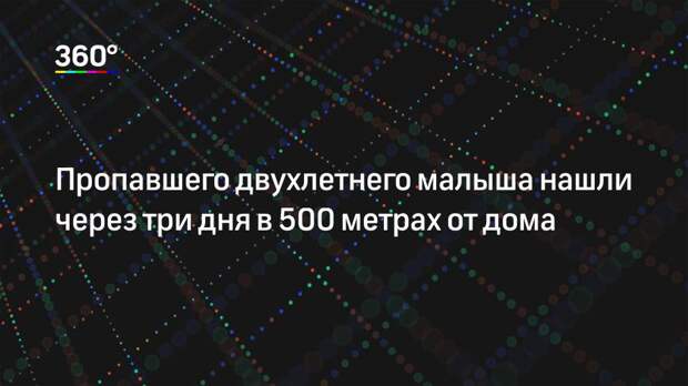 Пропавшего двухлетнего малыша нашли через три дня в 500 метрах от дома