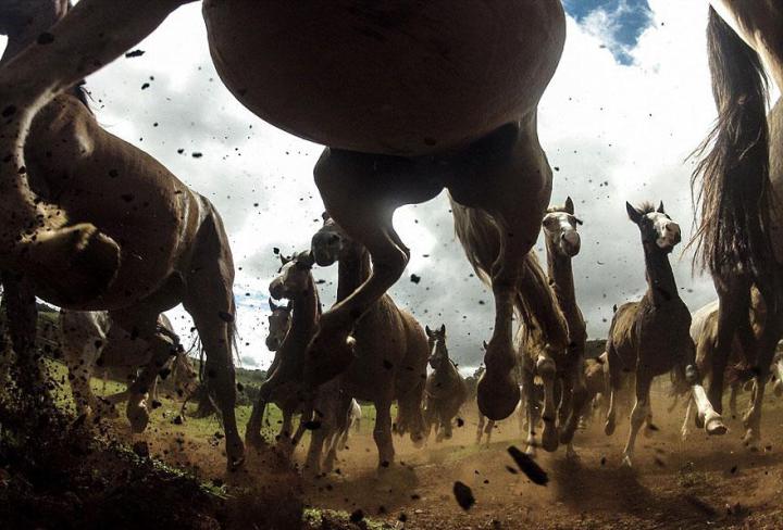 national-geographic-traveler-photo-contest-лошади