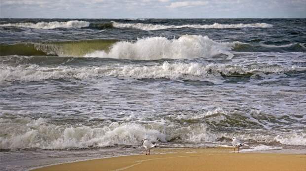 Пожилая петербурженка утонула в Балтийском море в Зеленоградске