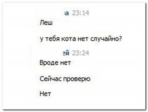 Убойные комментарии с сайтов и социальных сетей Убойные комментарии с сайтов и социальных сетей