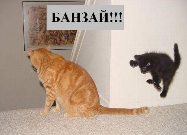 Мысли :) (50мыслей)