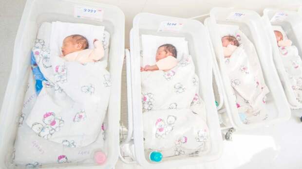 Первая в истории России однояйцевая четверня родилась в Петербурге