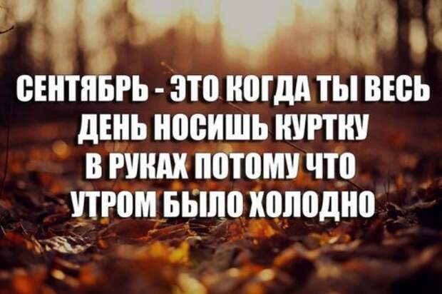 Вечерние фото-приколы (50 шт)