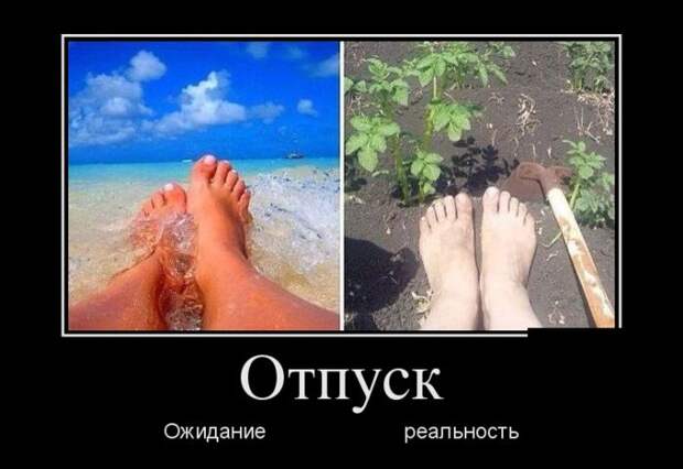 Демотиваторы №1687 (30 фото)