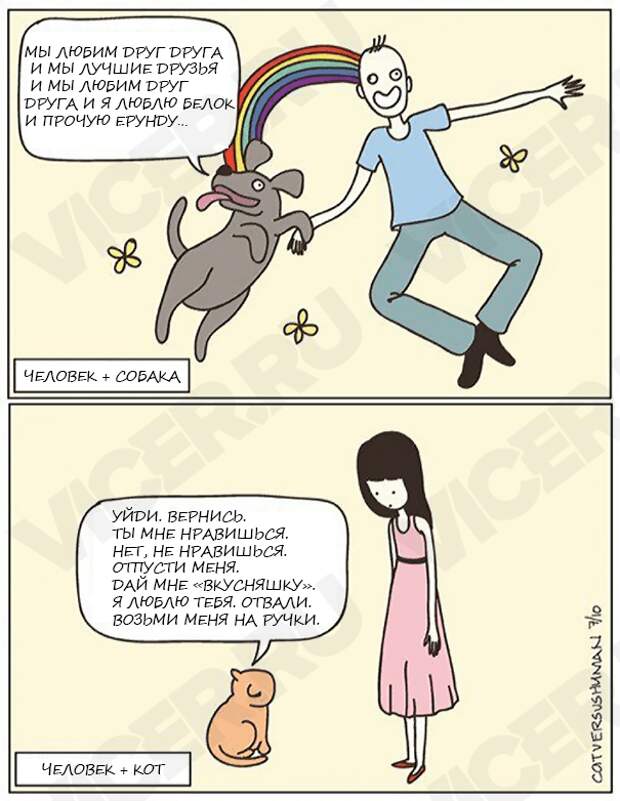 кошачья логика (3)
