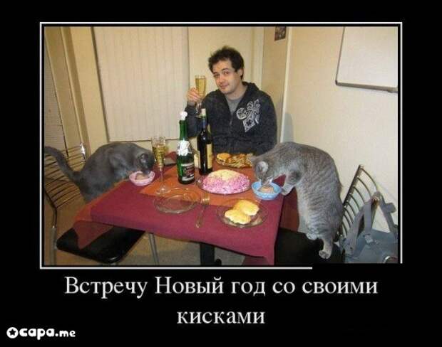 Подборка новогодних демотиваторов