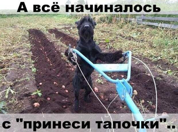 Давайте улыбаться вместе! Давайте улыбаться вместе!