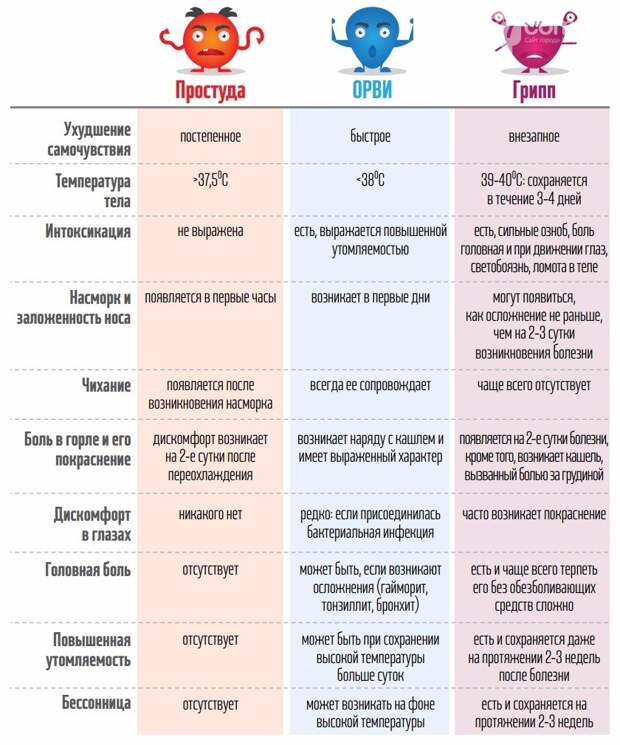 Как отличить грипп от простуды и ОРВИ (ИНФОГРАФИКА)