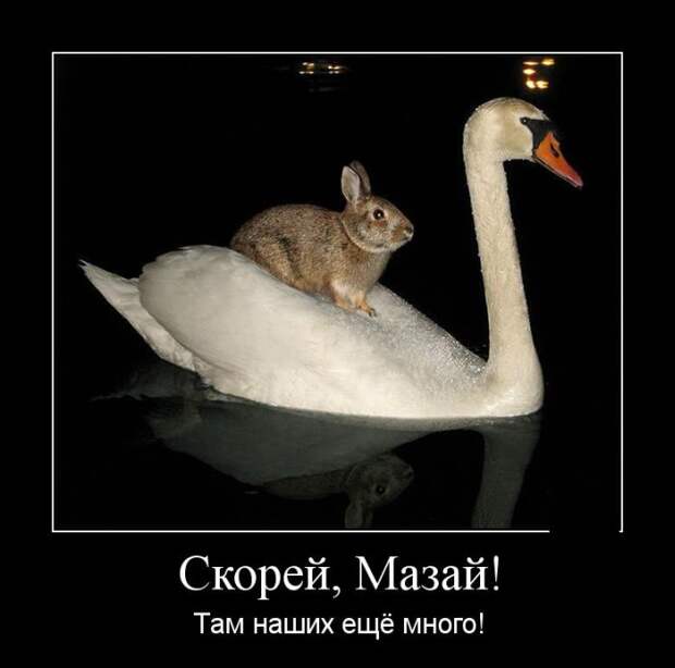 Демотиваторы демотиваторы, юмор