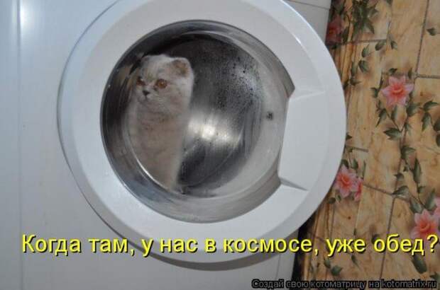 Мысли вслух :)