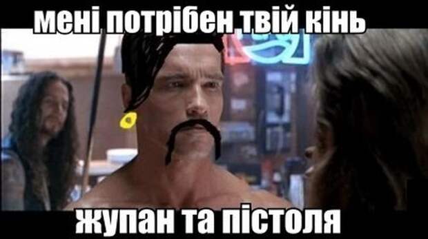 Смешные картинки с подписями катинки, прикол, юмор