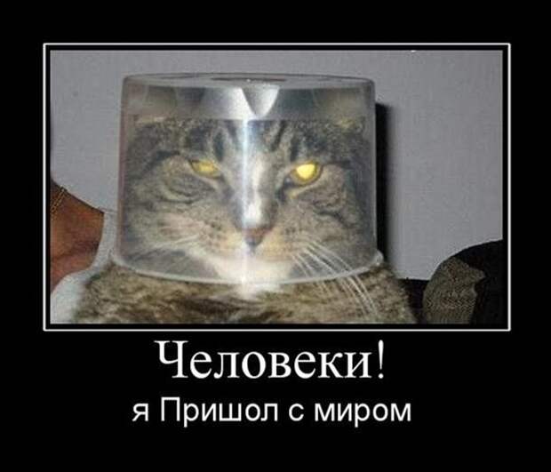 a5aed076fcc8786f4542106f9cf