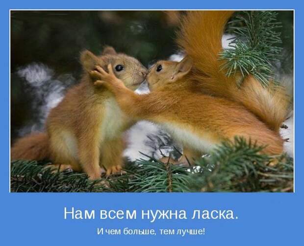 Мотиваторы