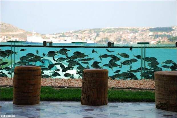 Житель Турции построил забор в виде аквариума (4 фото + 1 видео) " ФАН ПРЕССА - интересные новости и позитив