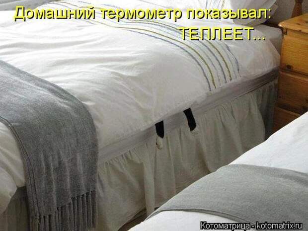 Лучшие котоматрицы недели