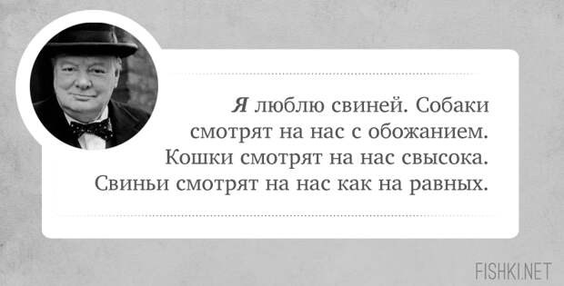 10 цитат, которые подтверждают, что Черчилль был невероятно крут Уинстона Черчилль, цитаты