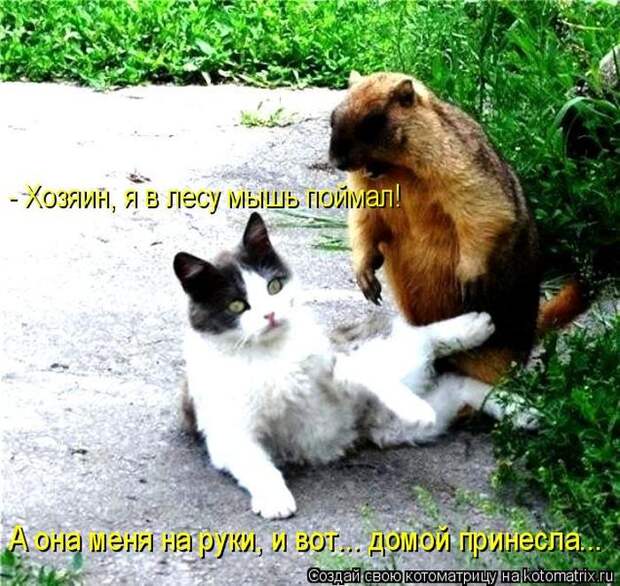 Мысли вслух :)