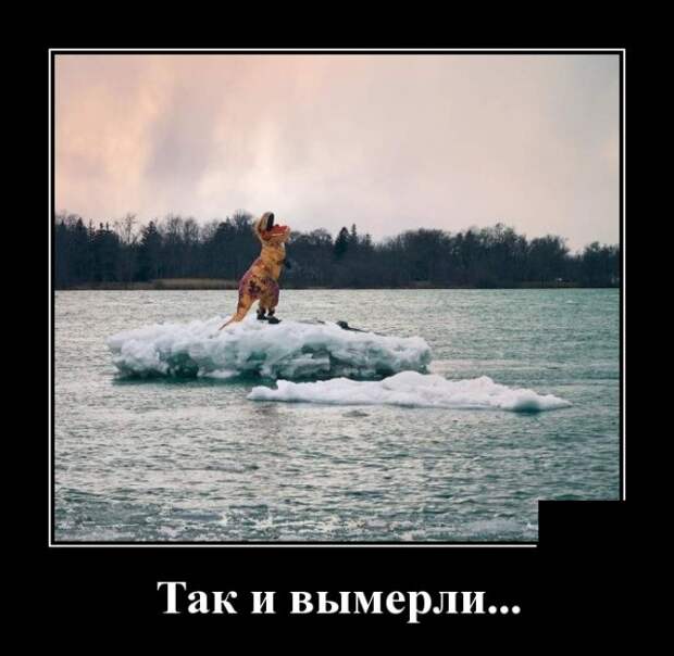 Демотиваторы (30 фото)