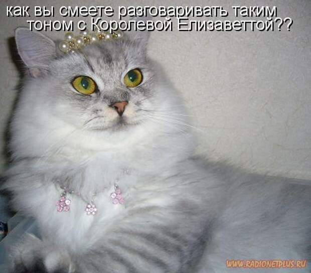 Зверье мое......