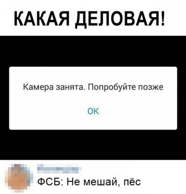 Прикольные картинки летним днем