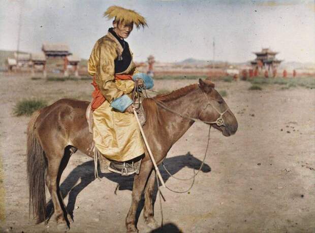 монгольская лошадь