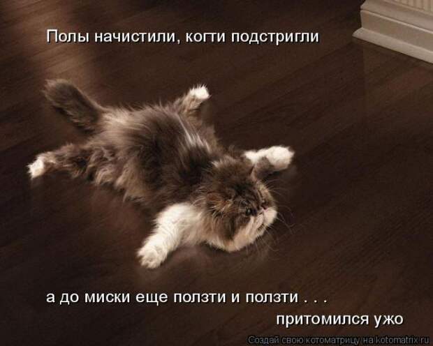 Мысли вслух :)
