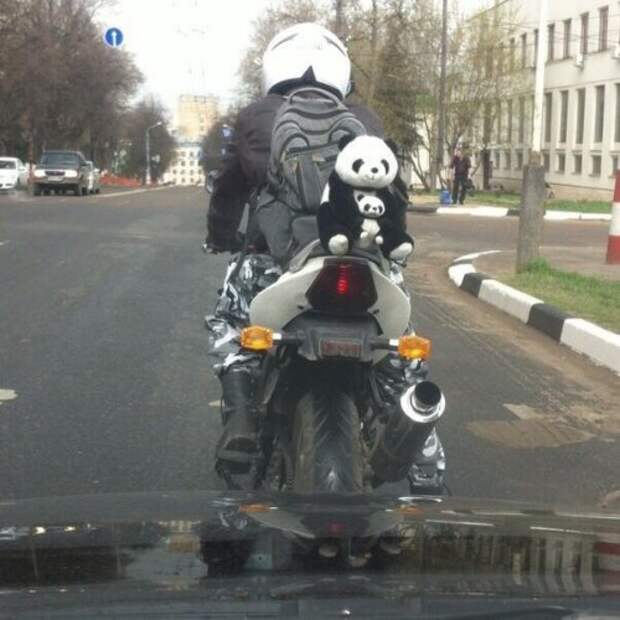 Автоприколы для всех (21 шт)