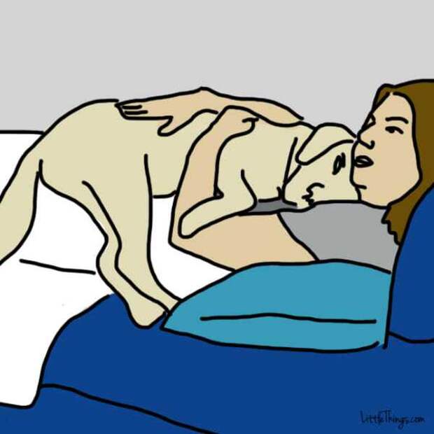 10 способов которыми собака говорит что любит вас