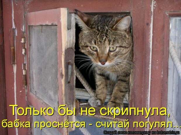 Мысли вслух :)