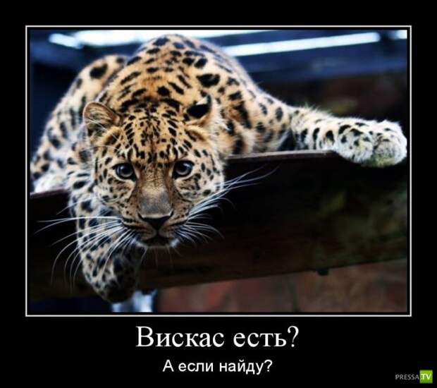 Демотиваторы (29 фото) Демотиваторы (29 фото)