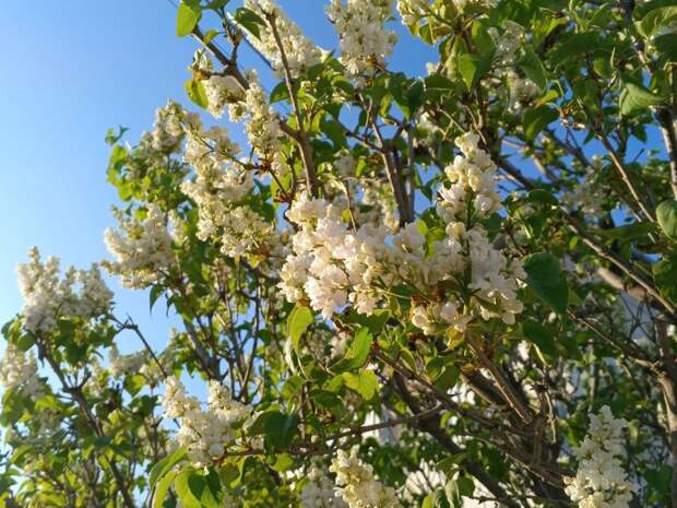 Прогноз погоды в Крыму на 30 апреля