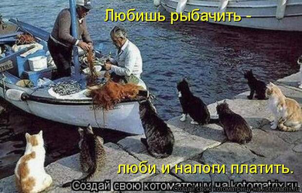Котоматрица: Любишь рыбачить -  люби и налоги платить.