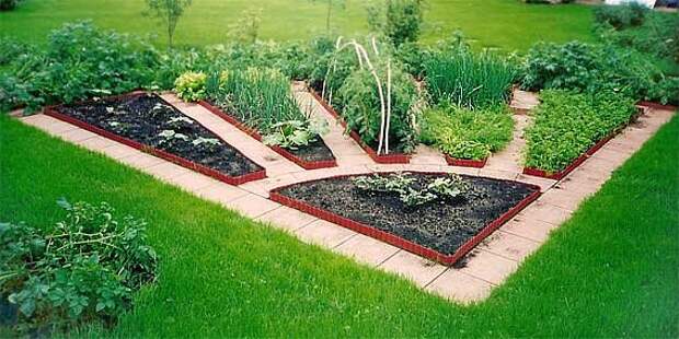 декоративный огород, грядки необычной формы, необычная геометрия форма грядок и клумб на огороде