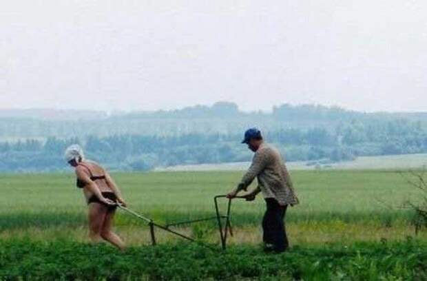 Такое может быть только в России (65 фото)