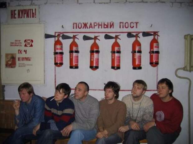 Смешные картинки и фото (63 шт)