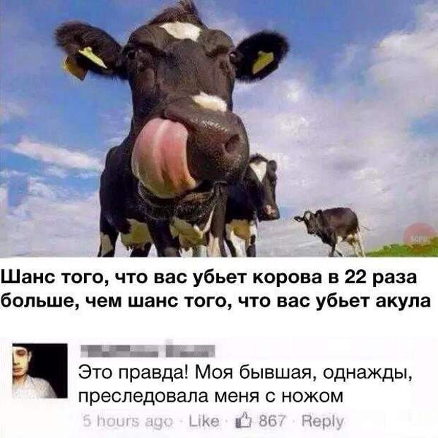 Смешные комментарии из социальных сетей Смешные комментарии из социальных сетей
