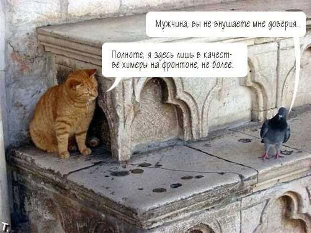 Давайте улыбаться вместе! :) (52улыбки)