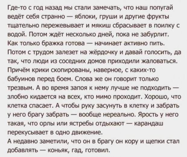 Алкопост