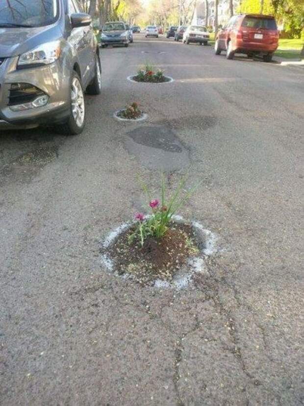 Автоприколы