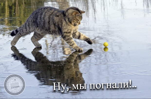 Ну, мы погнали!