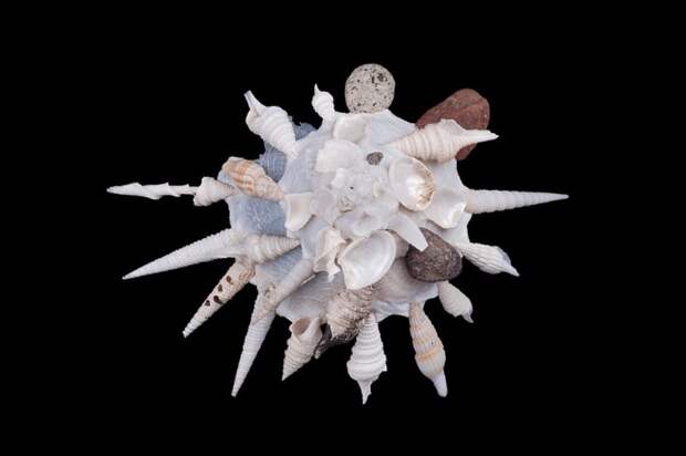 Load-carrier-snail-685x456