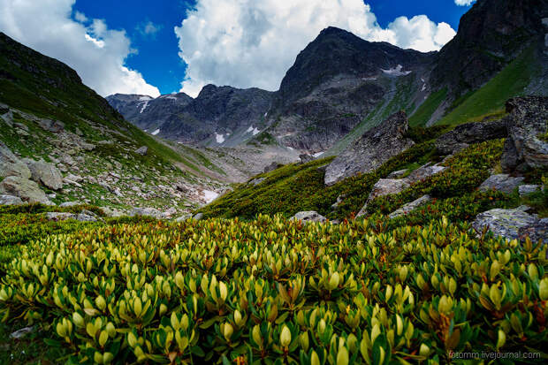 Озеро Семицветное на Кавказе Озеро Семицветное на Кавказе