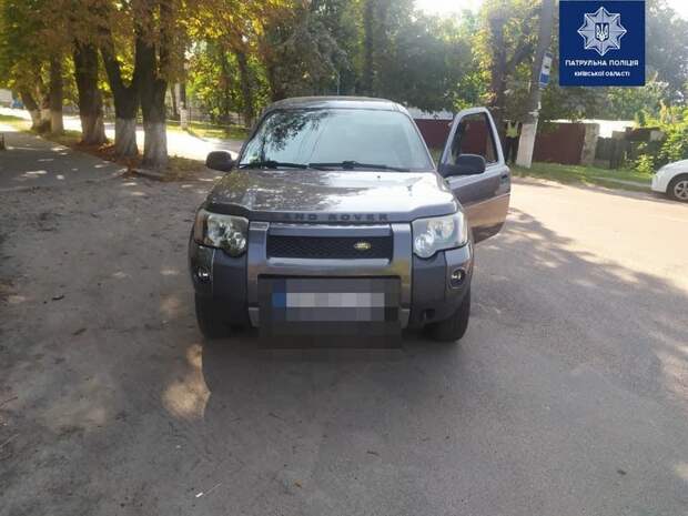 В Борисполе патрульные нашли водителя, который у них на глазах сбил собаку. Фото