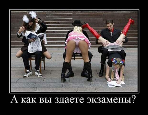 Демотиваторы приколы картинки, заряд отличного настроения!