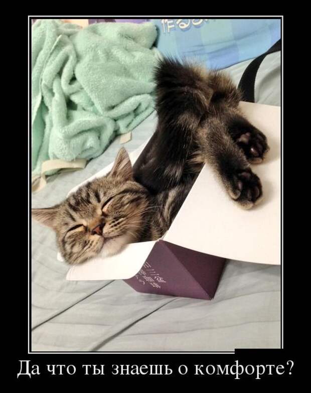 Демотиваторы №1069 (30 фото)