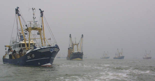В одной стране вынуждены отказаться от основного промысла из-за цен на топливо