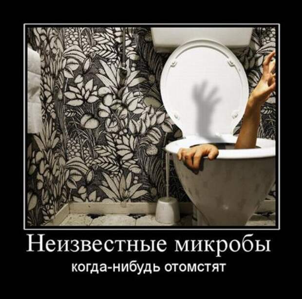 Демотиваторы с приколами, развеселят кого угодно.